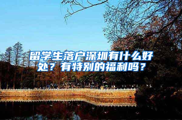 留学生落户深圳有什么好处？有特别的福利吗？