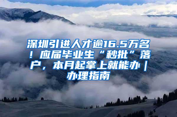 深圳引进人才逾16.5万名！应届毕业生“秒批”落户，本月起掌上就能办｜办理指南