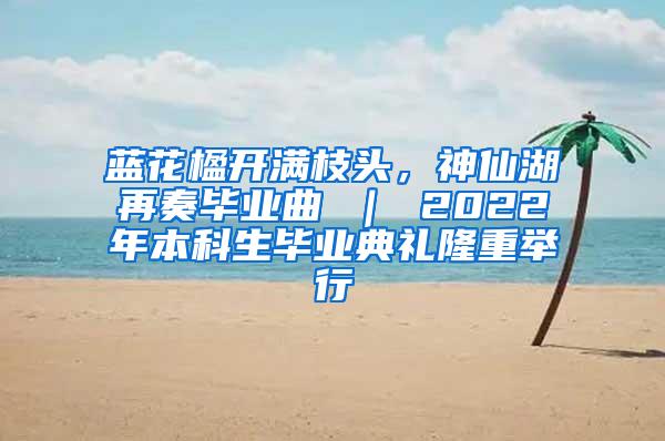 蓝花楹开满枝头，神仙湖再奏毕业曲 ｜ 2022年本科生毕业典礼隆重举行