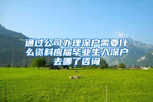 通过公司办理深户需要什么资料应届毕业生入深户去哪了咨询