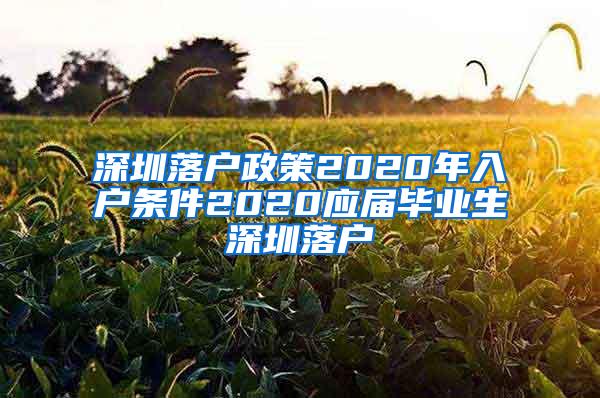 深圳落户政策2020年入户条件2020应届毕业生深圳落户