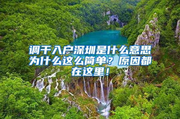 调干入户深圳是什么意思为什么这么简单？原因都在这里！