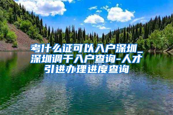 考什么证可以入户深圳_深圳调干入户查询-人才引进办理进度查询