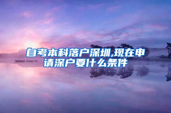 自考本科落户深圳,现在申请深户要什么条件