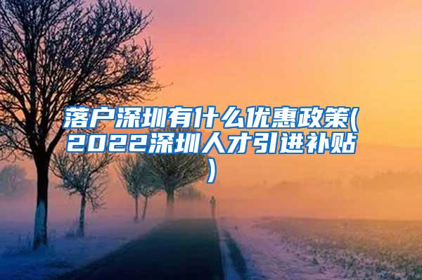 落户深圳有什么优惠政策(2022深圳人才引进补贴)