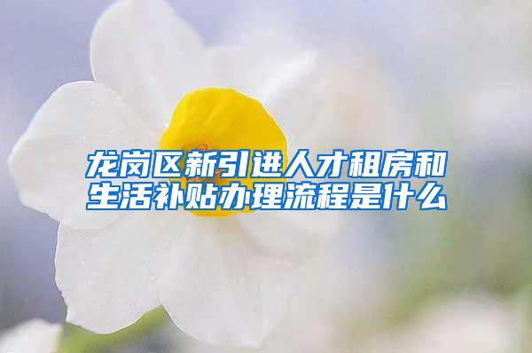 龙岗区新引进人才租房和生活补贴办理流程是什么