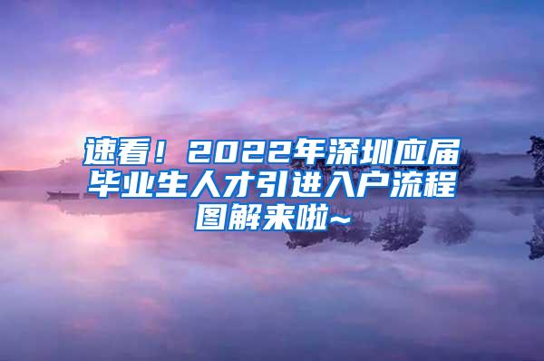 速看！2022年深圳应届毕业生人才引进入户流程图解来啦~