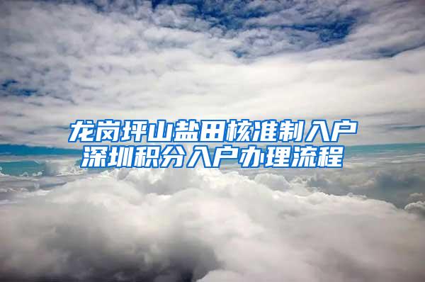 龙岗坪山盐田核准制入户深圳积分入户办理流程