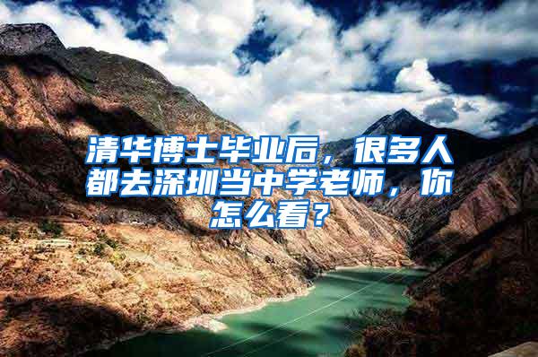 清华博士毕业后，很多人都去深圳当中学老师，你怎么看？