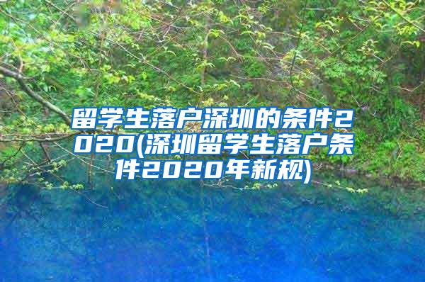 留学生落户深圳的条件2020(深圳留学生落户条件2020年新规)