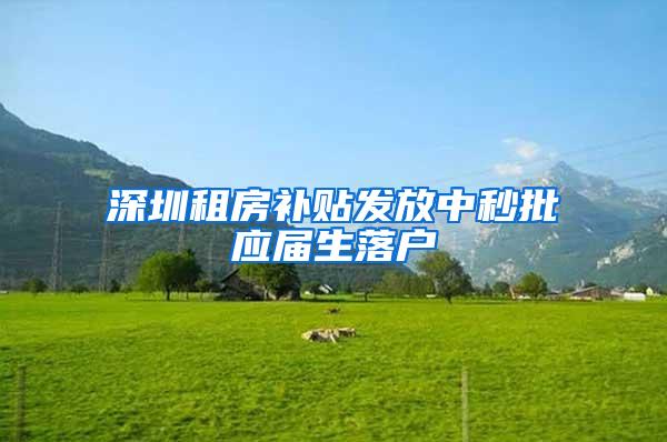 深圳租房补贴发放中秒批应届生落户