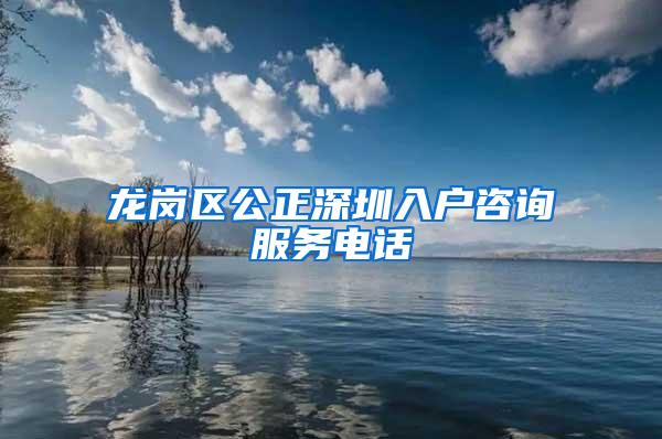 龙岗区公正深圳入户咨询服务电话