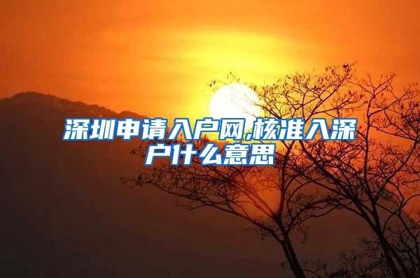 深圳申请入户网,核准入深户什么意思