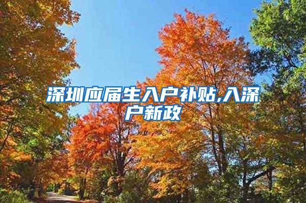 深圳应届生入户补贴,入深户新政