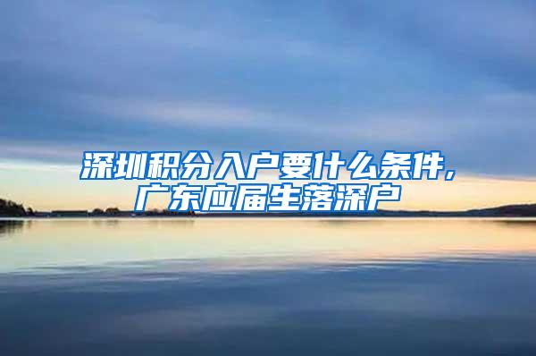 深圳积分入户要什么条件,广东应届生落深户