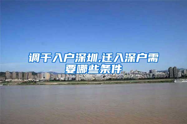 调干入户深圳,迁入深户需要哪些条件