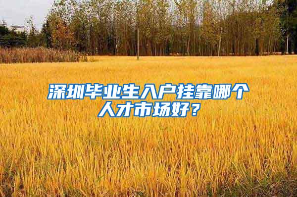 深圳毕业生入户挂靠哪个人才市场好？