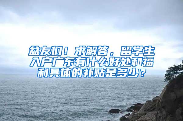 盆友们！求解答，留学生入户广东有什么好处和福利具体的补贴是多少？