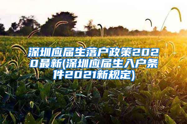 深圳应届生落户政策2020最新(深圳应届生入户条件2021新规定)