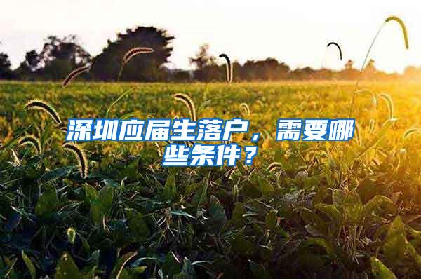 深圳应届生落户，需要哪些条件？