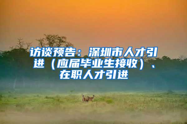 访谈预告：深圳市人才引进（应届毕业生接收）、在职人才引进