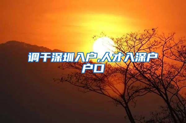 调干深圳入户,人才入深户户口