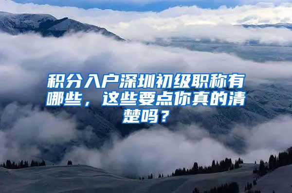 积分入户深圳初级职称有哪些，这些要点你真的清楚吗？