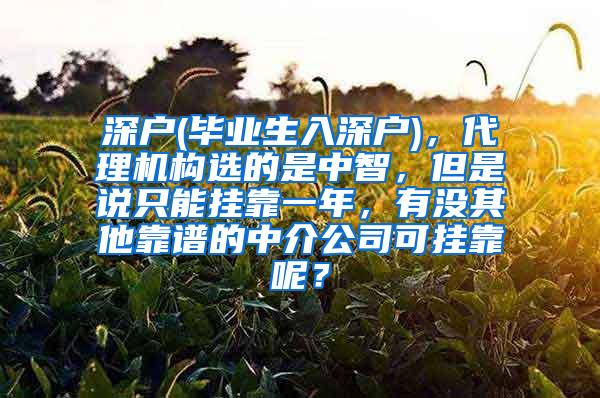 深户(毕业生入深户)，代理机构选的是中智，但是说只能挂靠一年，有没其他靠谱的中介公司可挂靠呢？