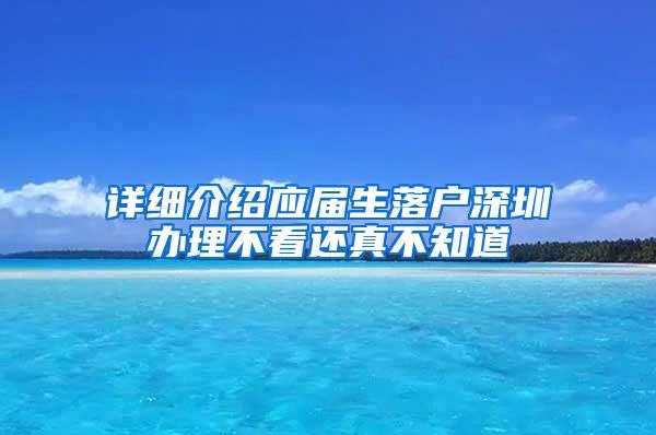 详细介绍应届生落户深圳办理不看还真不知道