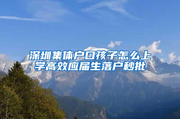 深圳集体户口孩子怎么上学高效应届生落户秒批