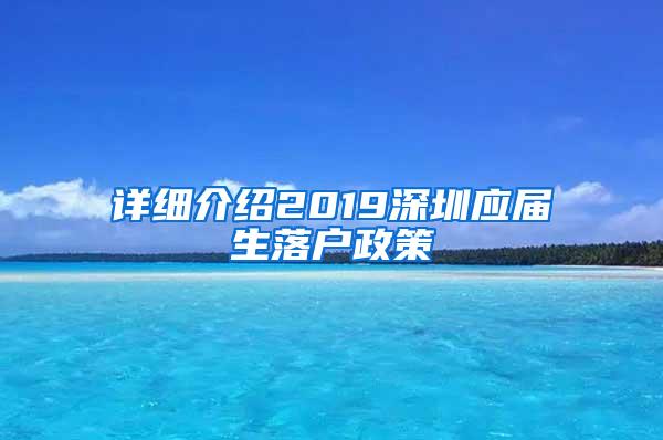 详细介绍2019深圳应届生落户政策