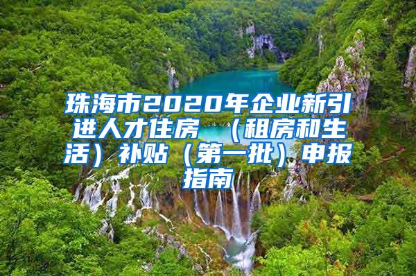 珠海市2020年企业新引进人才住房 （租房和生活）补贴（第一批）申报指南