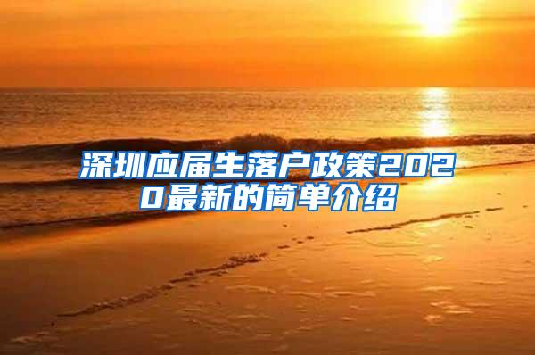 深圳应届生落户政策2020最新的简单介绍