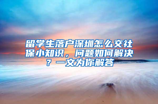 留学生落户深圳怎么交社保小知识，问题如何解决？一文为你解答