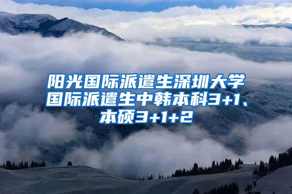 阳光国际派遣生深圳大学国际派遣生中韩本科3+1、本硕3+1+2