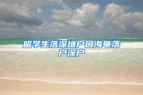 留学生落深圳户口海龟落户深户