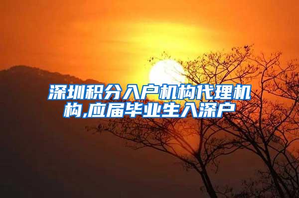 深圳积分入户机构代理机构,应届毕业生入深户