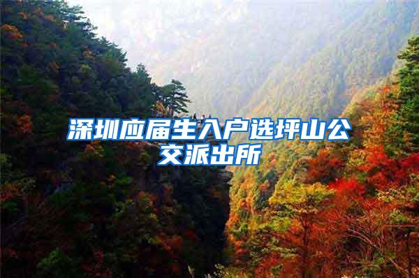 深圳应届生入户选坪山公交派出所