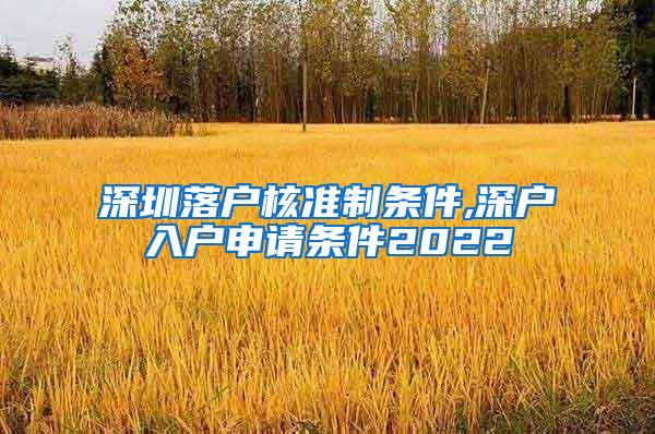 深圳落户核准制条件,深户入户申请条件2022