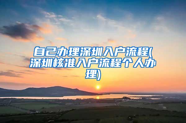 自己办理深圳入户流程(深圳核准入户流程个人办理)