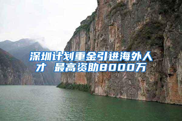 深圳计划重金引进海外人才 最高资助8000万