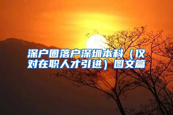 深户圈落户深圳本科（仅对在职人才引进）图文篇