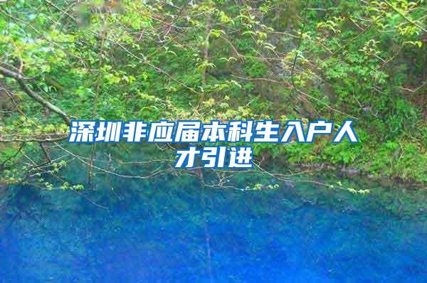 深圳非应届本科生入户人才引进