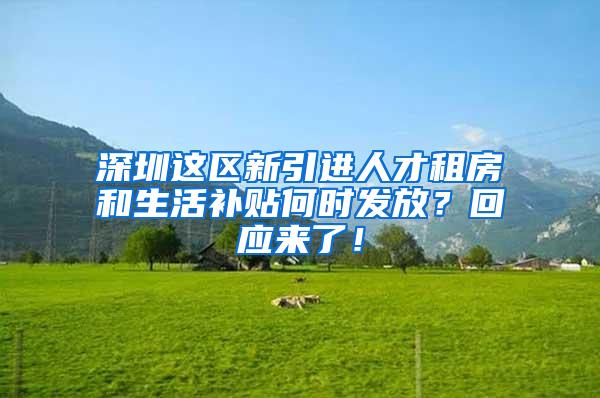 深圳这区新引进人才租房和生活补贴何时发放？回应来了！