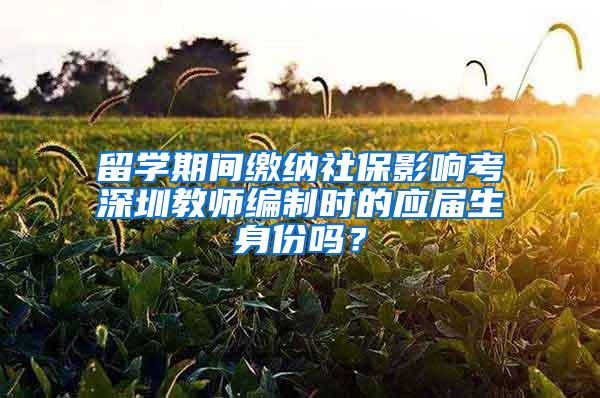 留学期间缴纳社保影响考深圳教师编制时的应届生身份吗？