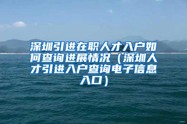 深圳引进在职人才入户如何查询进展情况（深圳人才引进入户查询电子信息入口）