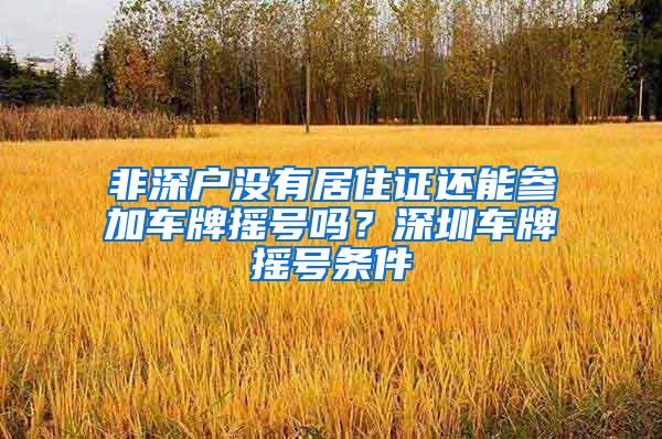 非深户没有居住证还能参加车牌摇号吗？深圳车牌摇号条件