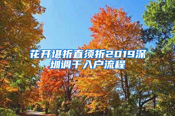 花开堪折直须折2019深圳调干入户流程