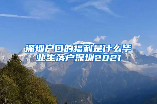 深圳户口的福利是什么毕业生落户深圳2021