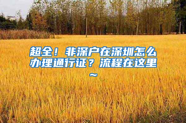 超全！非深户在深圳怎么办理通行证？流程在这里~